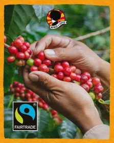 Probierset Kaffeebohnen, Bio, Fairtrade 500g
